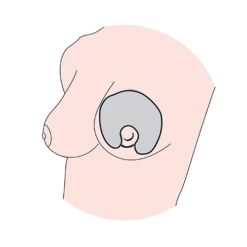 Cuscinetti Termici Per Il Seno - 1256 7 Cuscinetti Termici Per Il Seno - 1256 -Bambini Prodotti Negozio cuscinetti allattamento termici doppio uso